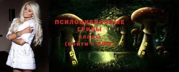 прущие грибы Аркадак