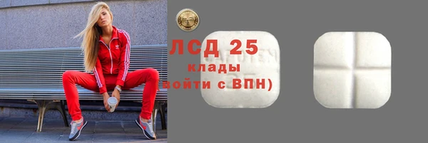 прущие грибы Аркадак