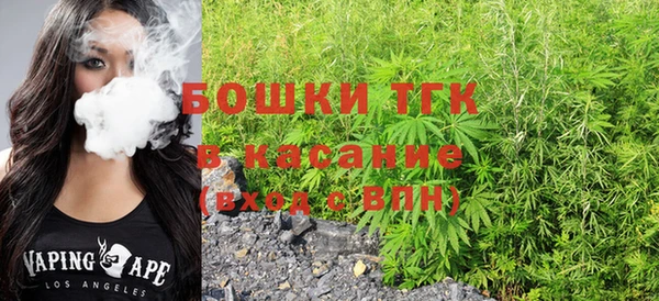прущие грибы Аркадак