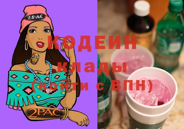 прущие грибы Аркадак
