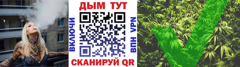 нарко площадка официальный сайт  Судогда  Бошки марихуана планчик  как найти  
